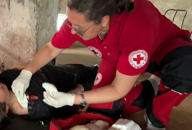 Prin ochii unui voluntar: Ruxandra Croitoru